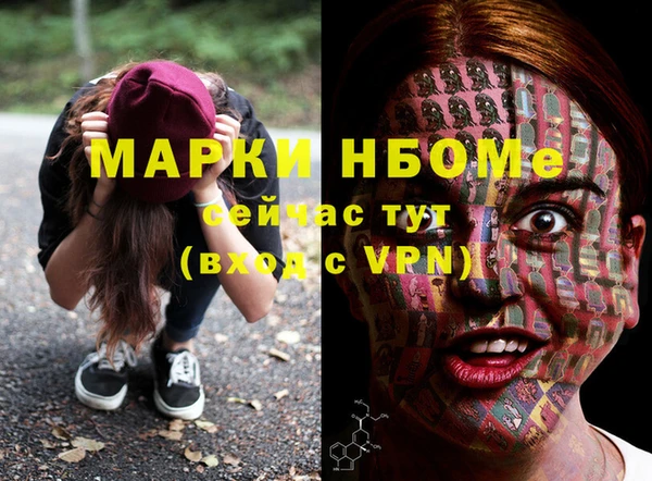 шишки Белоозёрский